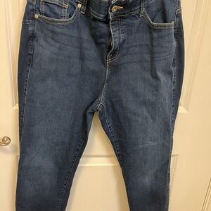 Torrid Bombshell Skinny Premium Stretch Jeans